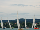 Einhandregatta